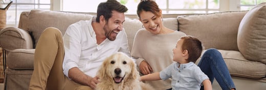 Wills and Pets